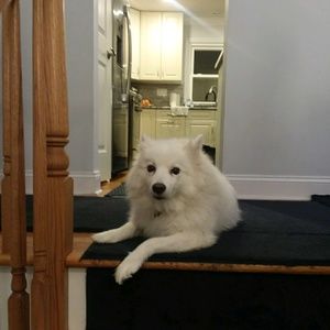 Meet your Posher, Cheri